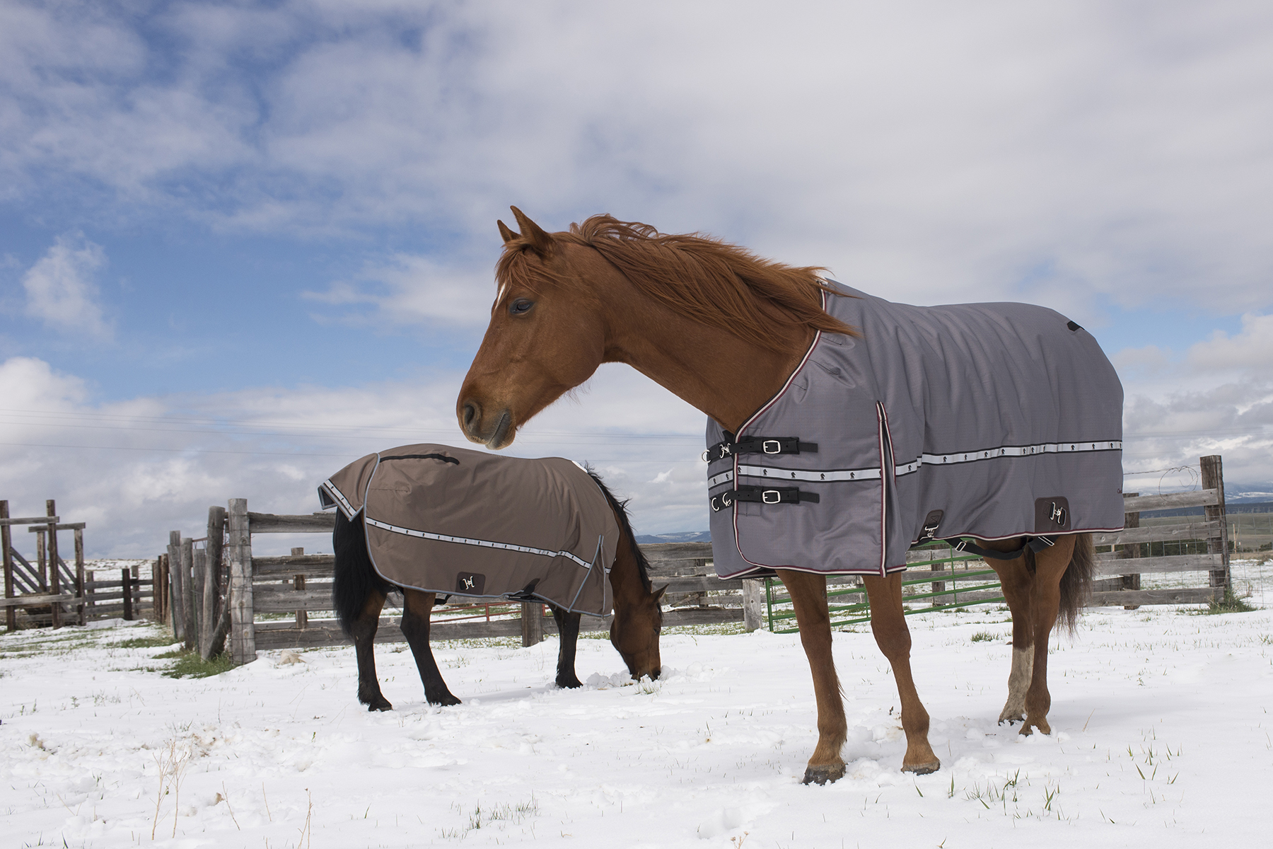 Ridge Capital Partners, L.L.C. Ridge Capital Partners